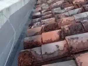 roof need attention