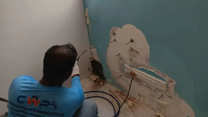 Wall Seepage Repair Services