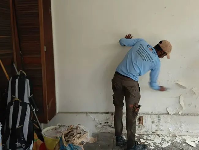 Wall seepage repair Singapore