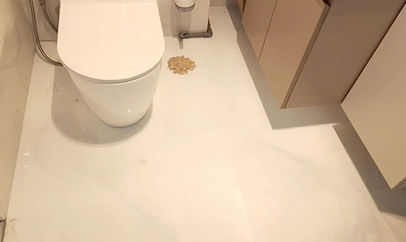 Full hacking toilet waterproofing