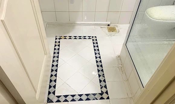 Landed property toilet waterproofing