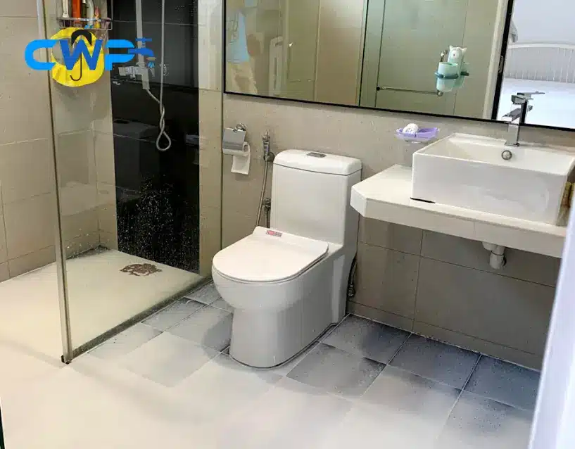 Used flood infusion techniques in the toilet.